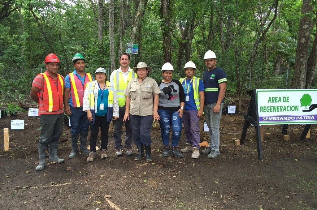Pacadar Panama gets involved and takes part in an environmental sustainability project 
