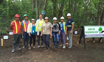 Pacadar Panama gets involved and takes part in an environmental sustainability project 